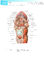Sobotta Atlas of Human Anatomy  Head,Neck,Upper Limb Volume1 2006, page 121